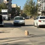 ADIYAMAN (PHA) - Şeriban ÖZÇAKMAK – Adıyaman’da Siteler Mahallesi Kavi Yolu üzerinde bulunan rögar kapağı tehlike saçıyor.