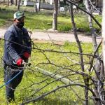 ADIYAMAN (PERRE) - Sibel TURAN-Çakırhüyük Belediyesi, yaz mevsimi öncesinde haşerelere karşı kapsamlı mücadele çalışmalarını başlattı.