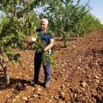 ADIYAMAN (PHA) - Kahta'da uzun yıllardır tarım sektöründe faaliyet gösteren Ziraat Mühendisi Mehmet Çelebi, Cumhurbaşkanı Kararnamesi ile ithal badem vergisinin yüzde 10'a düşürülmesinin çiftçinin beklentisini karşılayam...