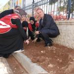 ADIYAMAN (PERRE) - Şeriban ÖZÇAKMAK - Adıyaman'da "Türkiye Yeşeriyor, Gazze Güçleniyor" programı kapsamında düzenlenen fidan dikim etkinliğinde, şehitler ve Gazze için fidanlar toprakla buluşturuldu.