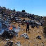 ADIYAMAN (PHA) - Adıyaman’ın Besni ilçesinde, kırsal alanda çıkan örtü yangını itfaiye ekipleri tarafından kontrol altına alındı.