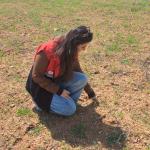 ADIYAMAN (PERRE) - Şeriban ÖZÇAKMAK - TARDİP kapsamında Adıyaman'ın Besni ilçesine bağlı Üçgöz Köyü'nde mera alanlarında incelemeler yapıldı, tarımsal üretim ve hayvancılığın güçlendirilmesi hedefleniyor.