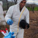 ADIYAMAN (PERRE) - Şeriban ÖZÇAKMAK - Adıyaman Tarım ve Orman İl Müdürlüğü, kanatlı hayvanlarda Avian Influenza hastalığını erken tespit amacıyla saha çalışmalarını yürüttü.