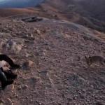 ADIYAMAN (PHA) - Şeriban ÖZÇAKMAK – Adıyaman’ın Kahta ilçesinde, Dünyanın 8.