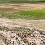 ADIYAMAN (PERRE) - Şeriban ÖZÇAKMAK - TARDİP kapsamında Adıyaman'ın Besni ilçesine bağlı Üçgöz Köyü'nde mera alanlarında incelemeler yapıldı, tarımsal üretim ve hayvancılığın güçlendirilmesi hedefleniyor.