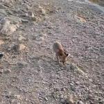 ADIYAMAN (PHA) - Şeriban ÖZÇAKMAK – Adıyaman’ın Kahta ilçesinde, Dünyanın 8.