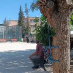 ADIYAMAN (PHA) - Şeriban ÖZÇAKMAK – Adıyaman Fevzi Çakmak Anadolu Lisesi öğrencileri 2025-2026 eğitim ve öğretim yılının ilk dersine, “Her Çocuk Bir Fidan, İlk Ders Yeşil Vatan” diyerek başladı.