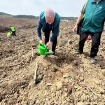 İSTANBUL (PERRE) - Şeriban ÖZÇAKMAK - İstanbul Çekmeköy Kaymakamlığı, Çekmeköy İlçe Milli Eğitim Müdürlüğü, Çekmeköy Şehit Ömer Halisdemir Kız Anadolu İmam Hatip Okulu ve Çevre Kuruluşları Dayanışma Derneği (ÇEKUD) iş bi...
