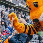 İSTANBUL (PERRE) - (Musa GÜRBÜZ) - Acun Ilıcalı'nın sahibi olduğu Hull City'nin İngiltere Championship play-off finalindeki rakibi, İngiliz futbolunda gündem yaratan disiplin kararı sonrası değişti.